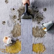 Clean It Rowenta Aspirador de Tapicerías