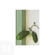 Abrazadera Para Trepadoras con Tachuela