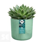 Maceta Ocean Collection Verde Pacífico 16cm. (diámetro) x 15 cm. (alto)