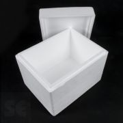 Caja Isotérmica 11L, Nevera Portátil de Temperatura Refrigerada, De  Porexpán Reutilizable Profesional, Diversos tamaños