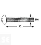 Tornillo Cabeza Redonda M6x30mm (80u.)