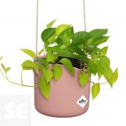 Maceta colgante Rosa Claro 18cm. (diámetro) x 17cm. (alto)