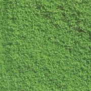 Flocado, Verde Claro