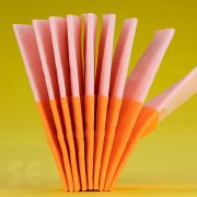 Pañuelos Renova Red Label O.Fizz Naranja