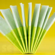 Pañuelos Renova Red Label S.Mint Verde