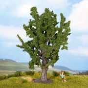 Roble, 15 Cm De Alto