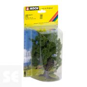 Roble, 15 Cm De Alto