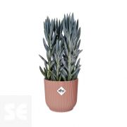 Maceta Vives Fold Rosa Claro 14cm. (diámetro) x 13 cm. (alto)