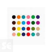 Rotulador Prisma Punta de Fibra 24u