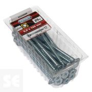 Tornillos Universales Cromados Tx6x100 mm (25u.)