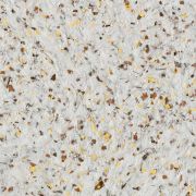 Papel pintado líquido Silk Plaster Nord 922 Rendimiento 3,5/4m2 (1kg)