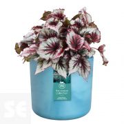 Maceta Ocean Collection Azul Altántico 14cm. (diámetro) x 13 cm. (alto)