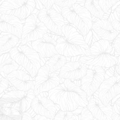 Vinilo Adhesivo India Blanco 90cmx2,8m