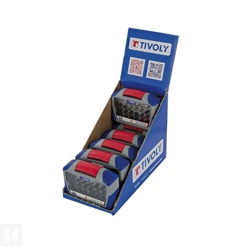 Juego De Puntas Estándar 22 Piezas