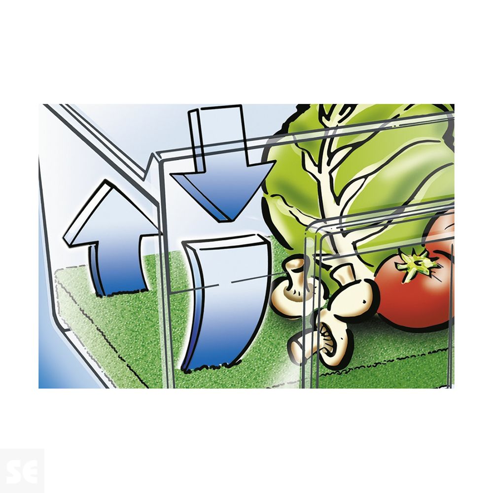 Estera Antimoho Frigorífico Wenko