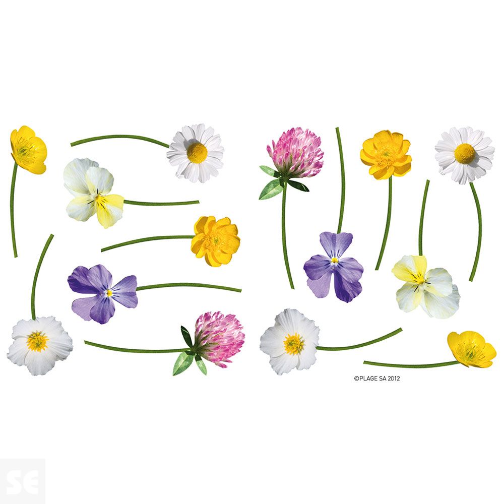 Adhesivo Pared Flores Silvestres 11x10,5Cm
