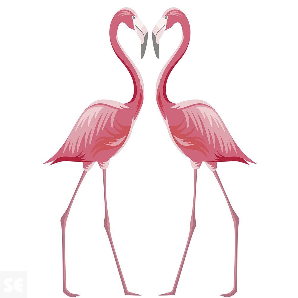 Stickers Deco - Flamencos 48x68 Cm