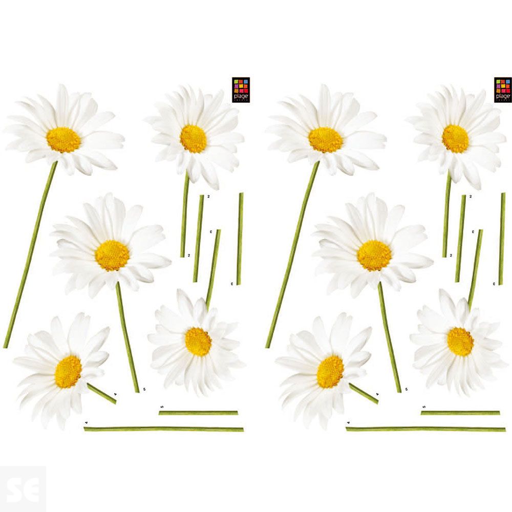 Nature Deco S - Marguerites 2 Sheets 29,7 x 21 Cm, 157063