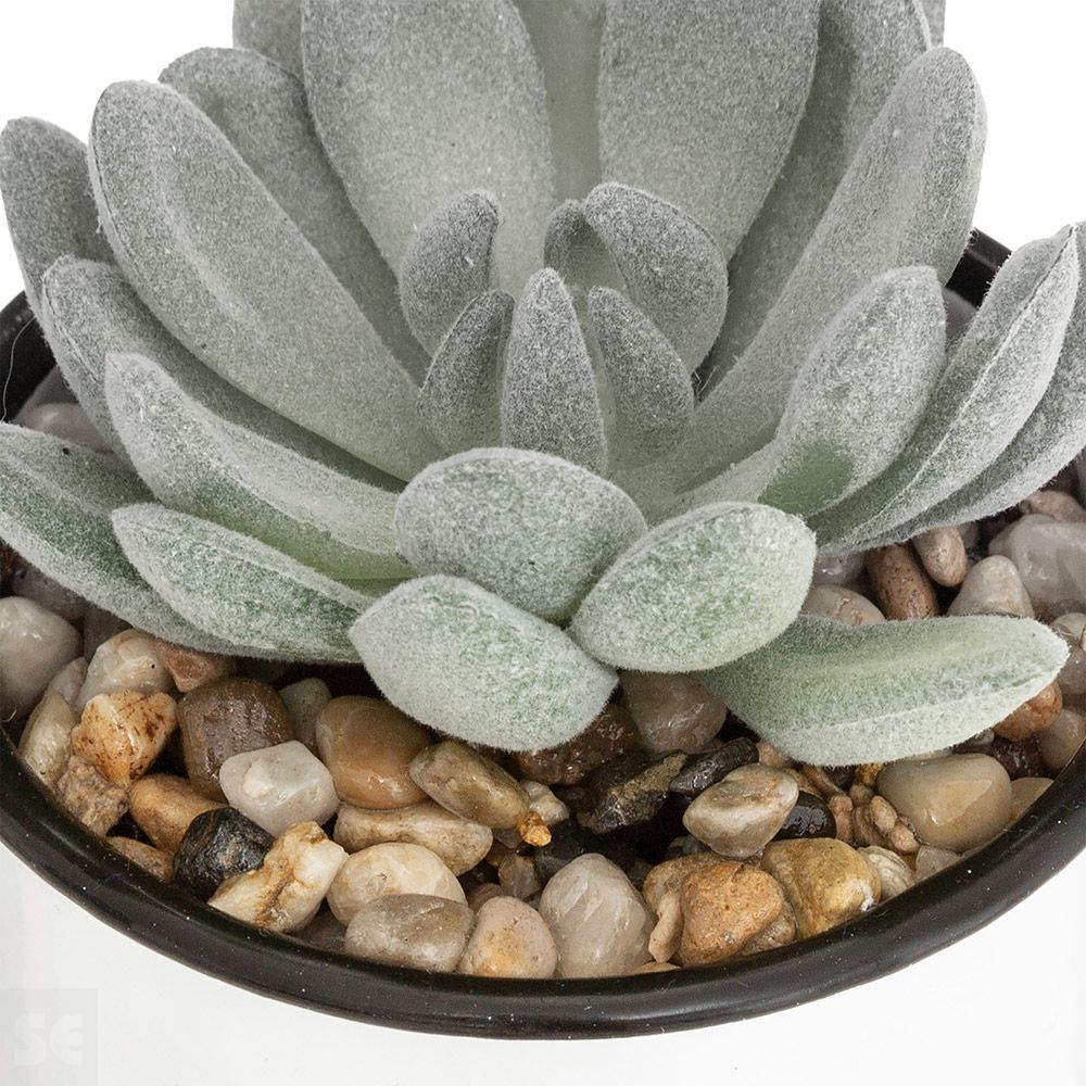 Taza Metálica con Planta