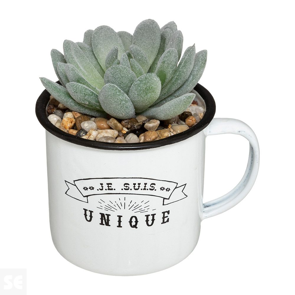 Taza Metálica con Planta