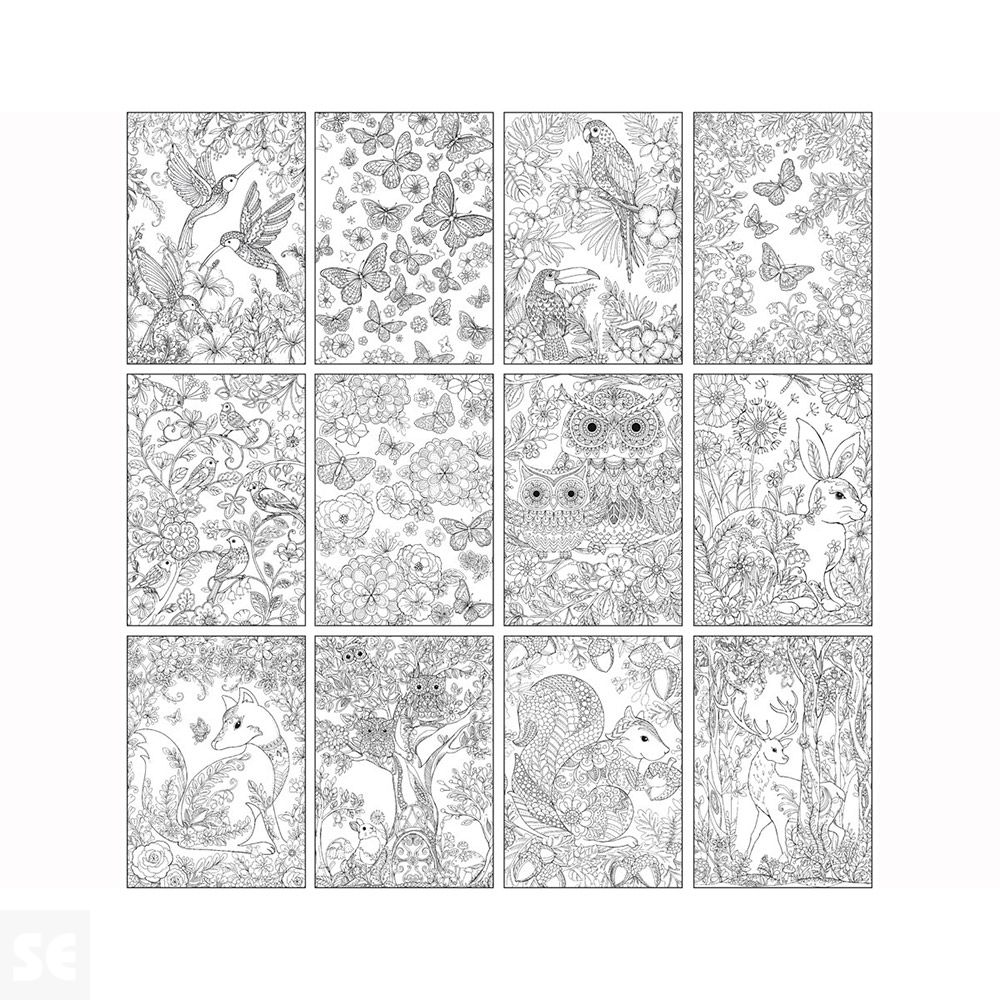 Colorear Forest 12 Diseños 24 Hojas 16x23cm.