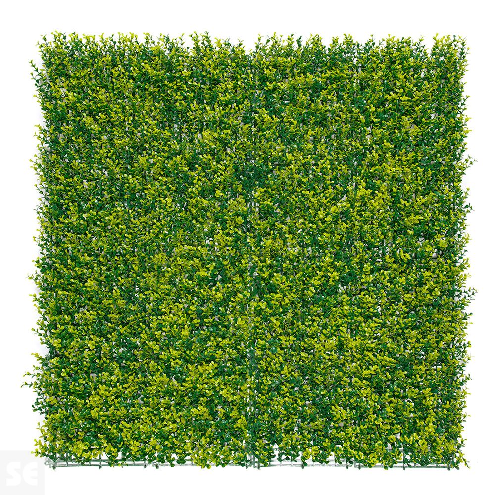 Vertical Buxus Verde 1x1M