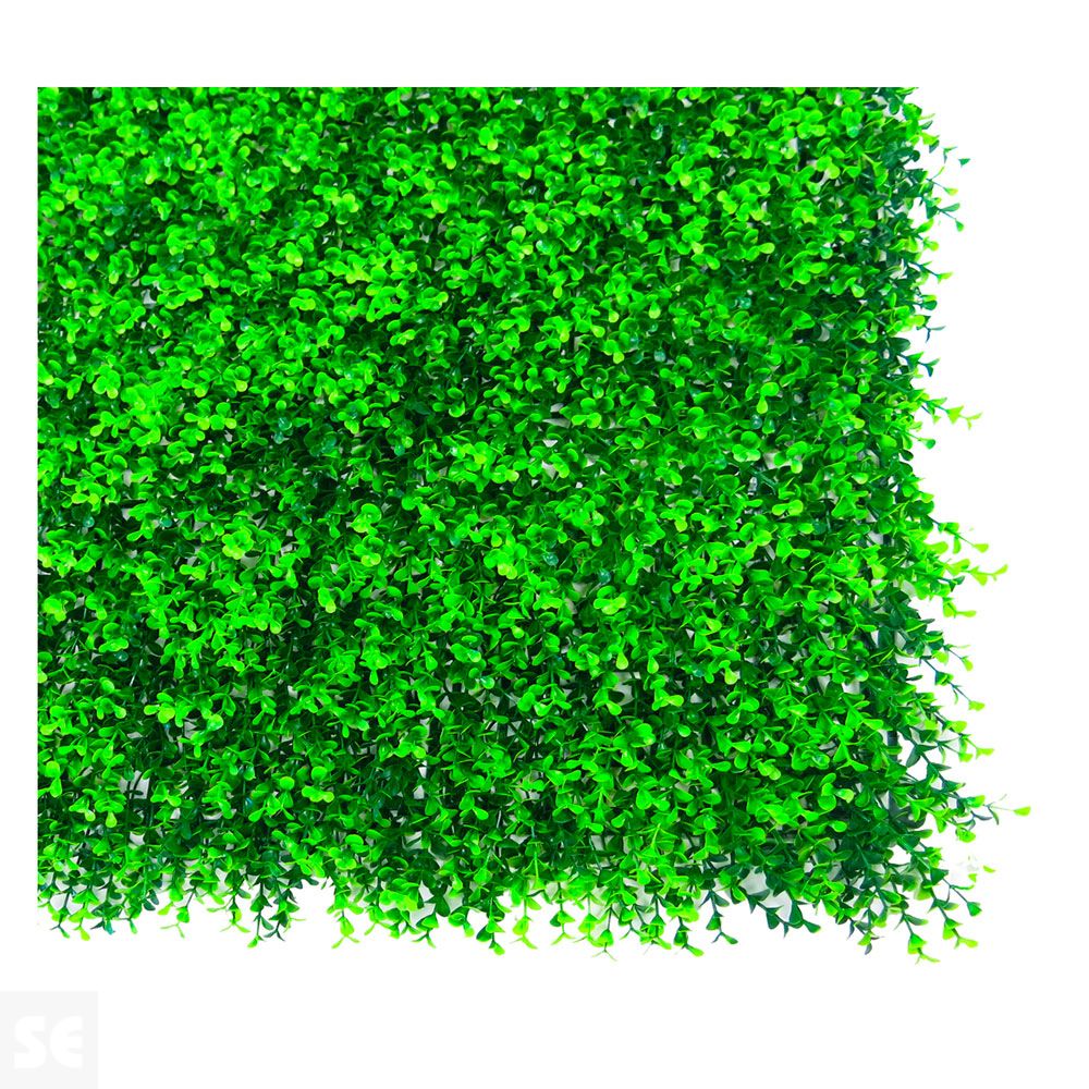 Vertical Buxus Verde 1x1M