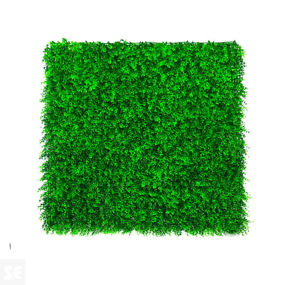 Vertical Buxus Verde 1x1M