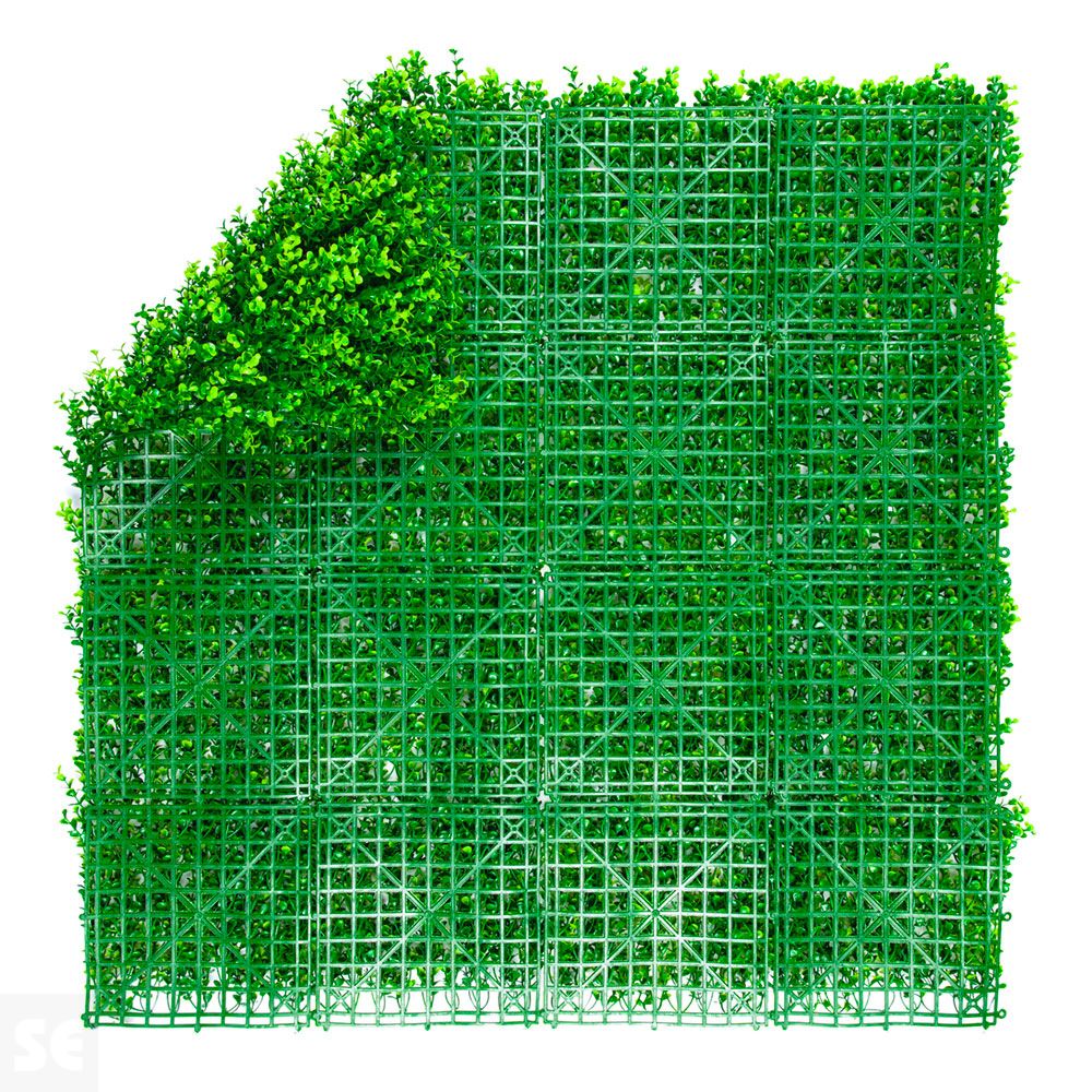 Vertical Buxus Verde 1x1M