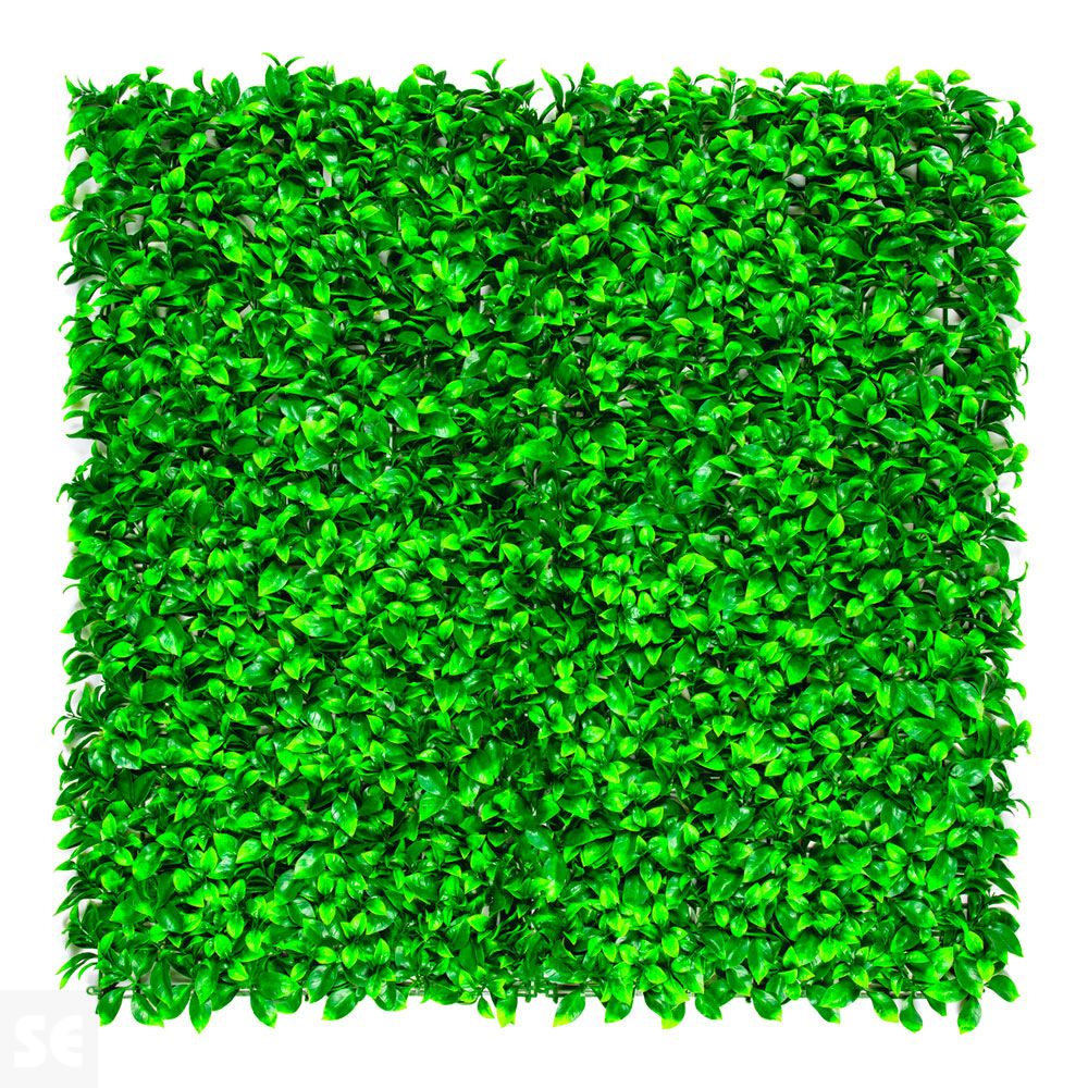 Vertical Lauro Verde 1x1 m