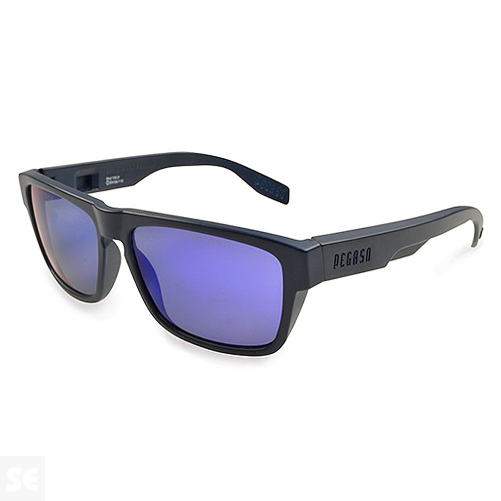 Gafas Solar Brave