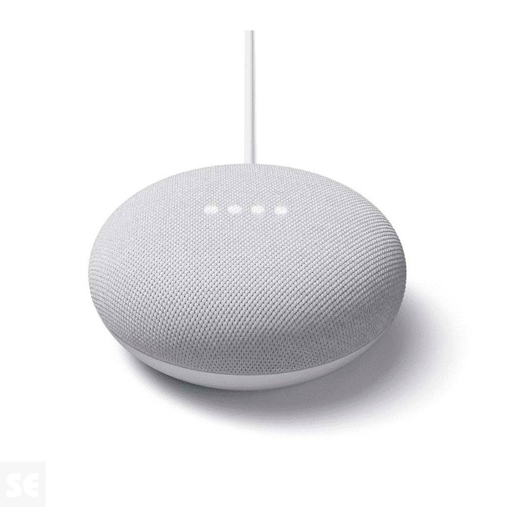 Google Nest Mini Chalk Gris