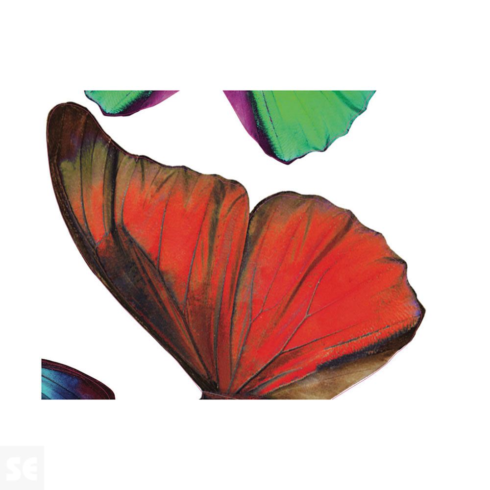 Decoracion 3D Mariposas Multicolor (8x6,5Cm A 14x11Cm