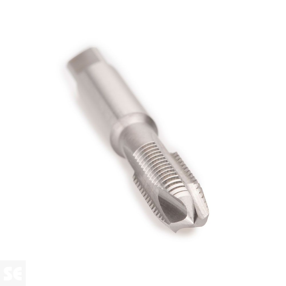 Macho Maq. Hsse Iso529 (M) 3119 Recto 08