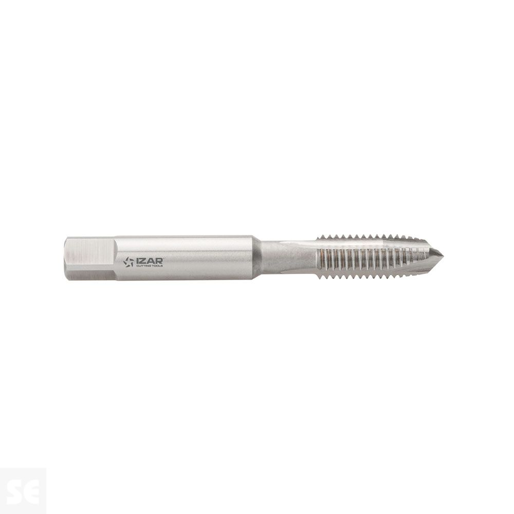 Macho Maq. Hsse Iso529 (M) 3119 Recto 12