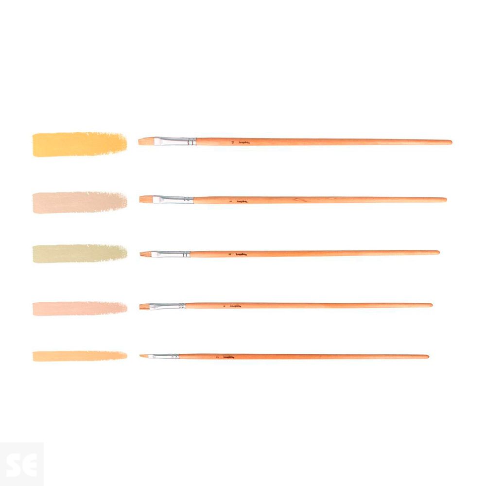 Set 5 Pinceles Cerda Mango Largo Planos Nº 2, 4, 6, 8, 10