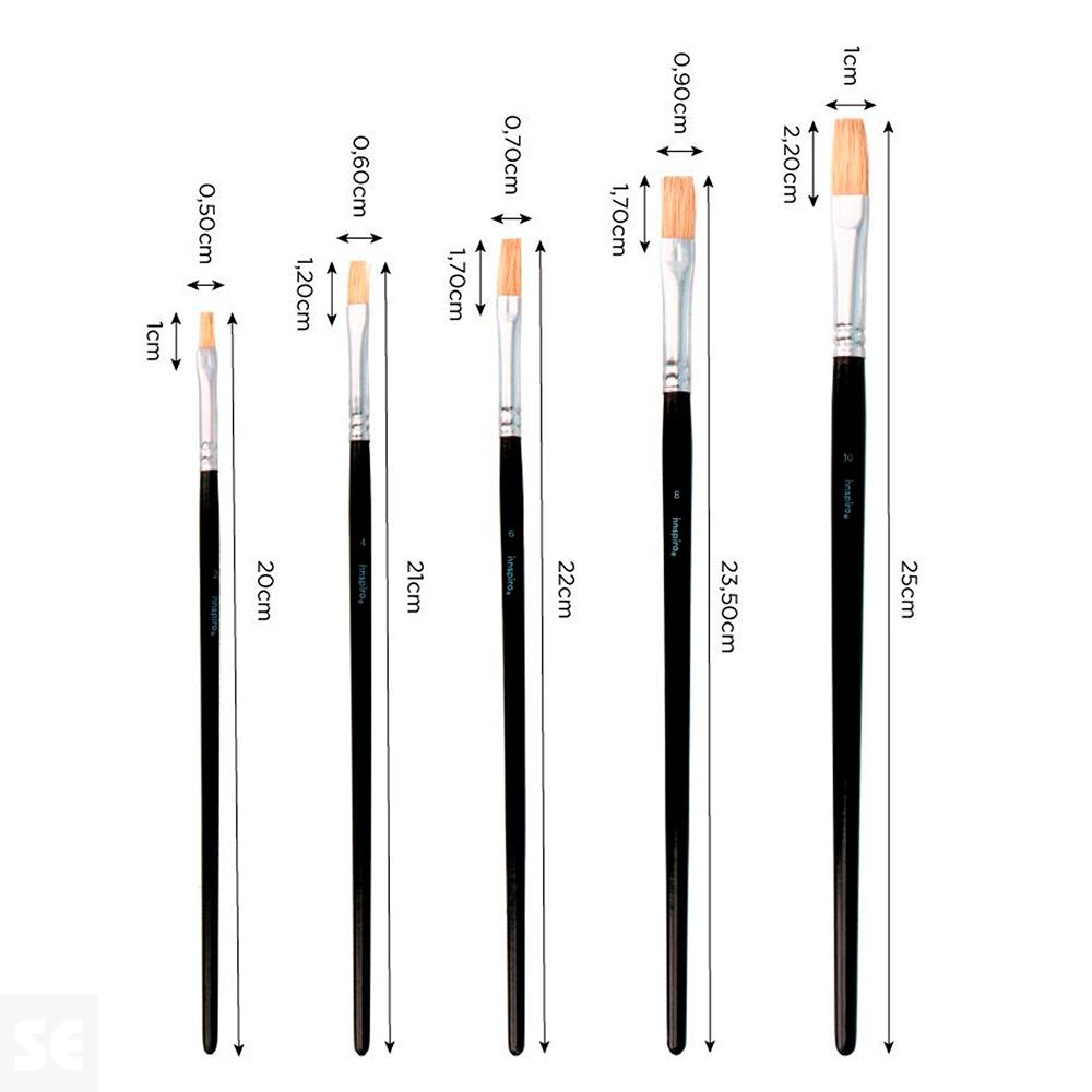 Set 5 Pinceles Cerda Mango Corto Planos Nº 2, 4, 6, 8, 10