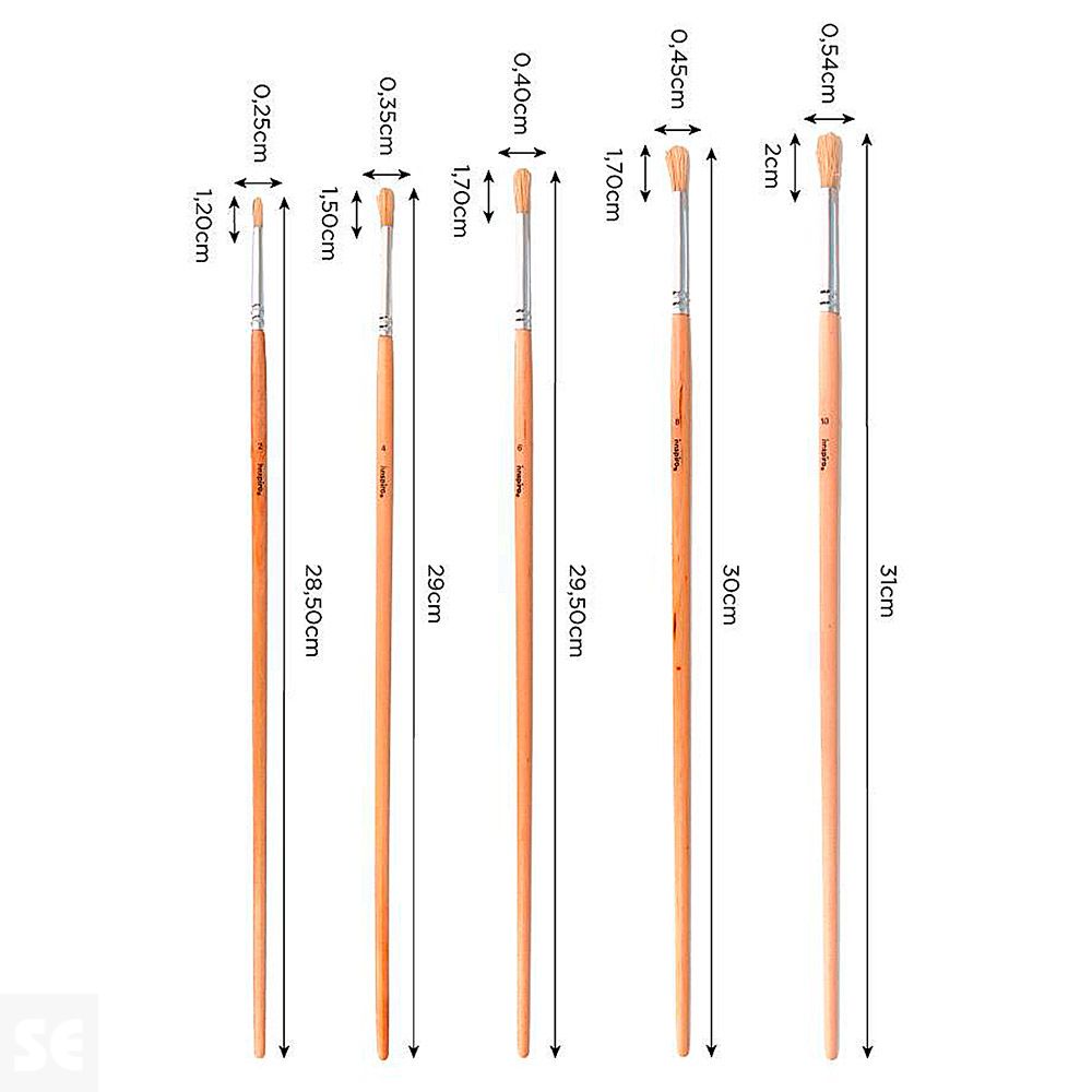 Set 5 Pinceles Cerda Mango Largo Redondos Nº 2, 4, 6, 8, 10