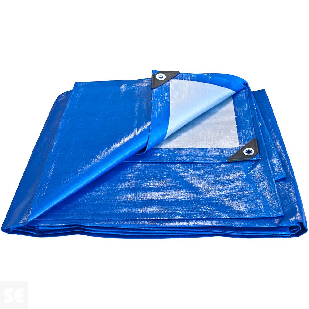 Toldo Rafia Estándar 6x10 m Azul-Plata | Servei Estació
