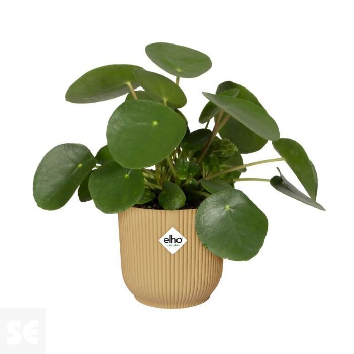 Maceta Vibes Fold Round Amarillo 16cm. (diámetro) x 15cm. (alto)