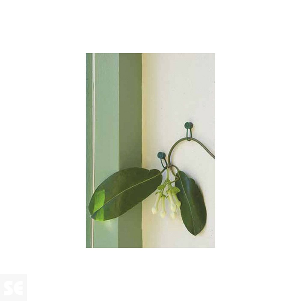 Abrazadera Para Trepadoras con Tachuela