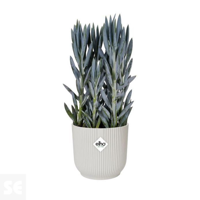 Maceta Vives Fold Blanco Seda 16cm. (diámetro) x 15cm. (alto)