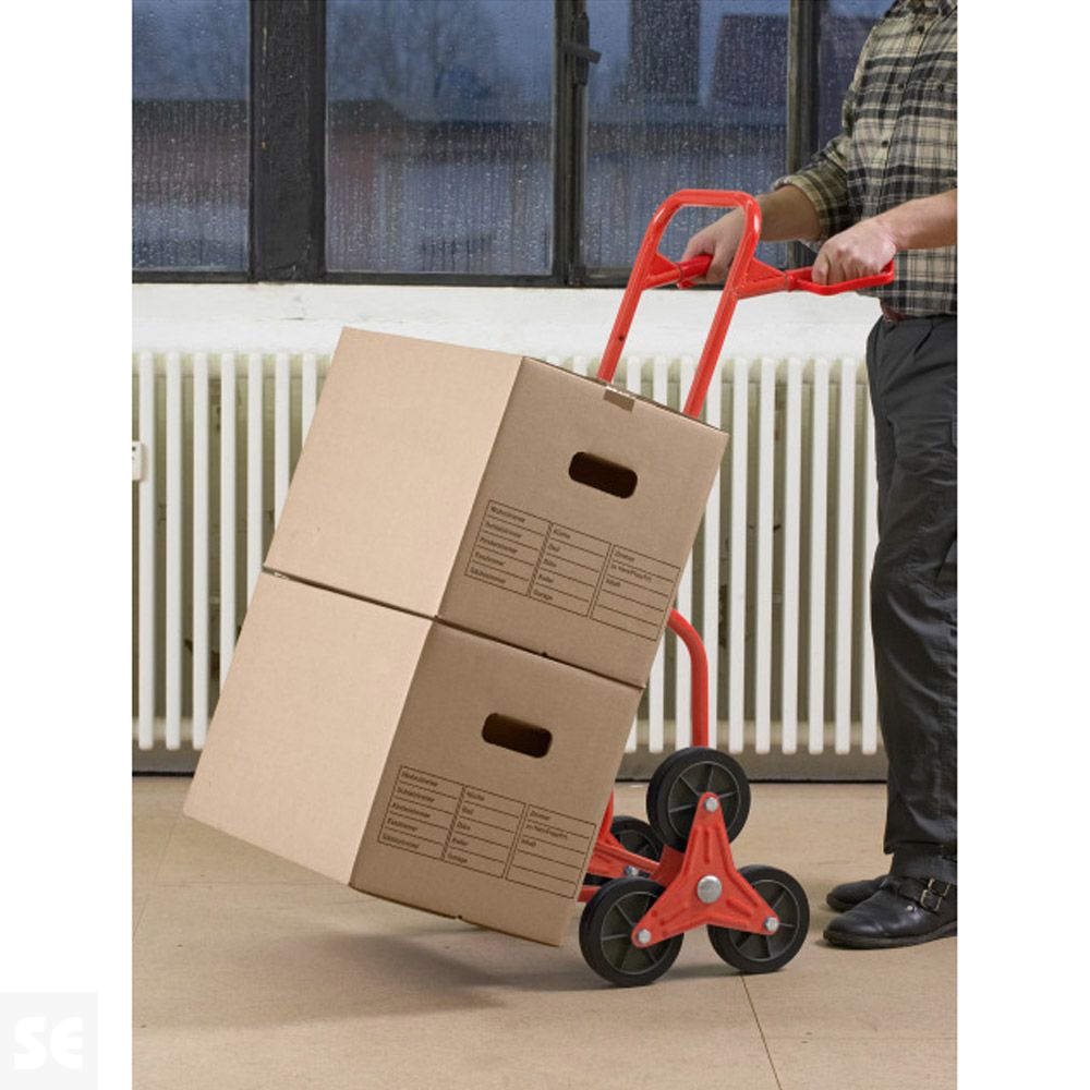 Camión de Saco Escalonado 120 kg