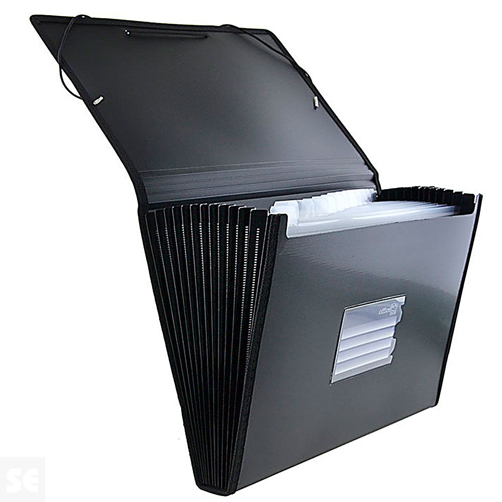 Clasificador 12 Div Gomas Surtidos 335x240x30 mm 41115