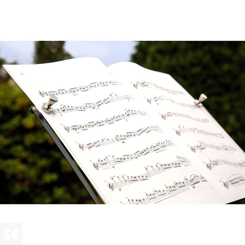 Imán Neodimio Cono Magnético Diámetro 15 mm - Fuerza 4 kg (2u.) | Servei Estació
