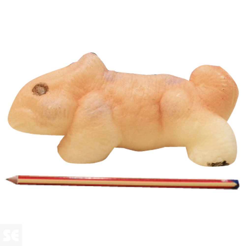 Huevo Mágico Dinosaurio Gigant