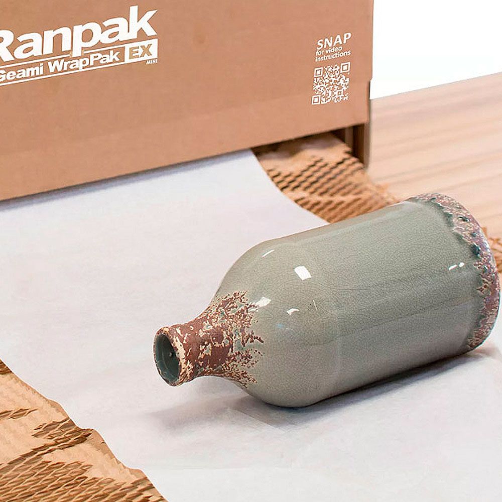 Sistema Geami Wrappak C/Caja Distribuidora 58,4x48,8x20,3 cm | Servei Estació