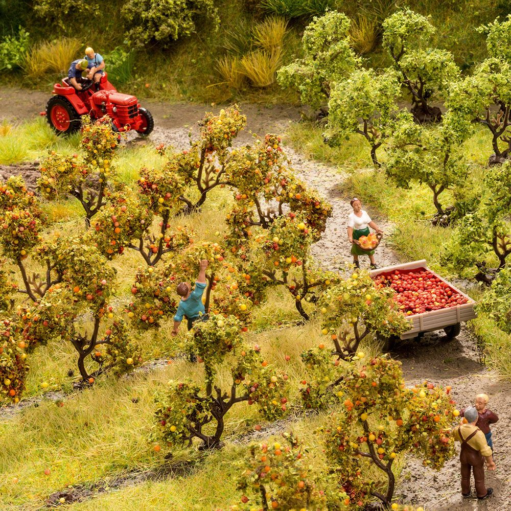 Manzanos Con Manzanas