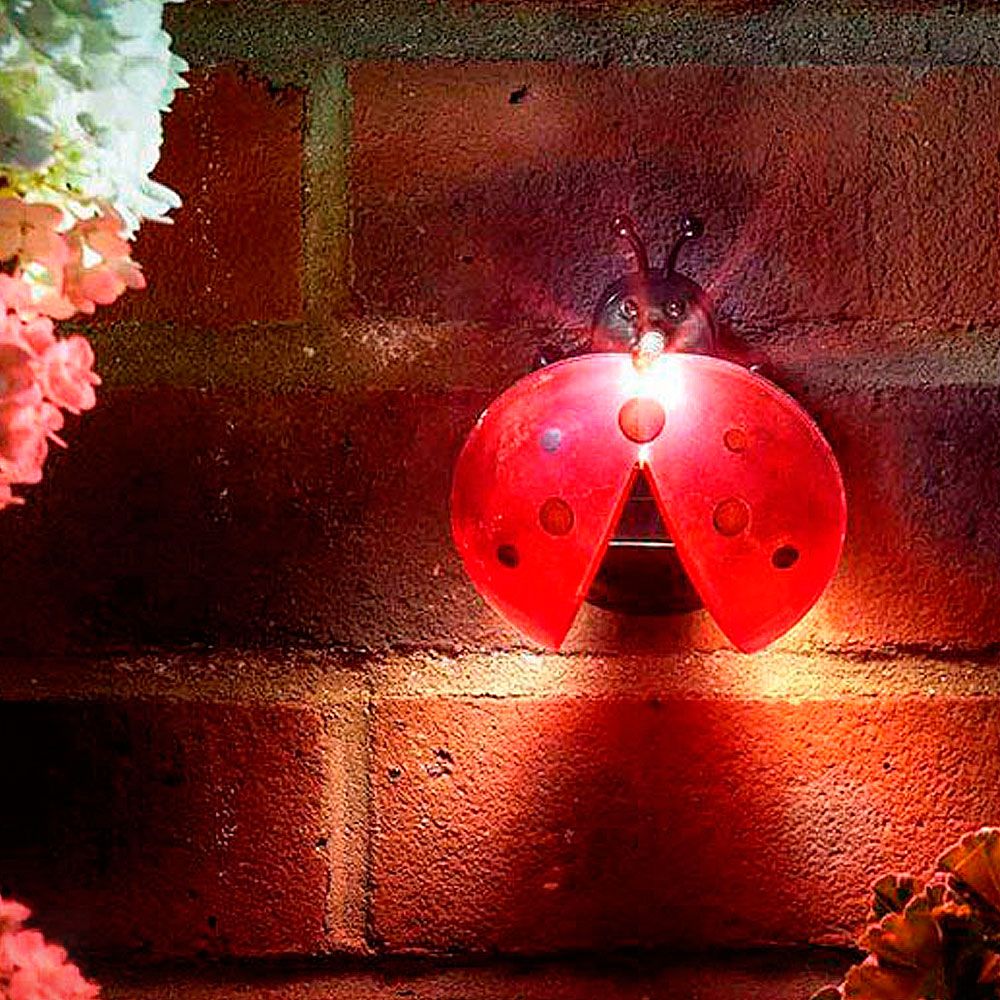 Mariquita Solar de Pared