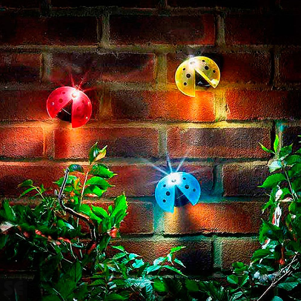 Mariquita Solar de Pared